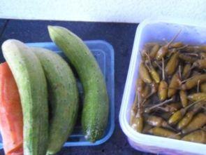 泡椒娱乐瓜地吃瓜,揭秘娱乐圈幕后风云 第2张 泡椒娱乐瓜地吃瓜,揭秘娱乐圈幕后风云 第2张